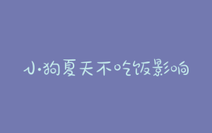 小狗夏天不吃饭影响长，夏天小狗不吃饭是什么原因-警犬训练器材厂家 _警犬训练用品_工作犬训练用品-南京开久警犬装备
