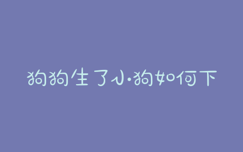 狗狗生了小狗如何下奶?狗狗下奶了过12天了还没小狗 - 警犬训练器材厂家 _警犬训练用品_工作犬训练用品-南京开久警犬装备-警犬训练器材厂家 _警犬训练用品_工作犬训练用品-南京开久警犬装备