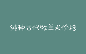 纯种古代牧羊犬价格、古牧的价格和四大因素有关-警犬训练器材厂家 _警犬训练用品_工作犬训练用品-南京开久警犬装备