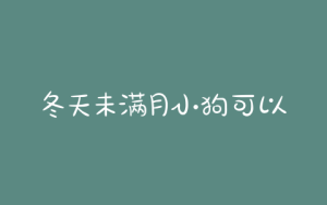 冬天未满月小狗可以晒太阳吗？-警犬训练器材厂家 _警犬训练用品_工作犬训练用品-南京开久警犬装备