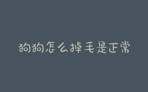 狗狗怎么掉毛是正常的？怎么减少狗狗掉毛-警犬训练器材厂家 _警犬训练用品_工作犬训练用品-南京开久警犬装备
