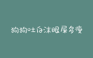 狗狗吐白沫眼屎多瘦(狗狗眼屎多吐白沫是怎么回事)-警犬训练器材厂家 _警犬训练用品_工作犬训练用品-南京开久警犬装备