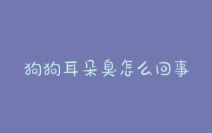 狗狗耳朵臭怎么回事？狗狗耳朵臭还痒是怎么回事-警犬训练器材厂家 _警犬训练用品_工作犬训练用品-南京开久警犬装备