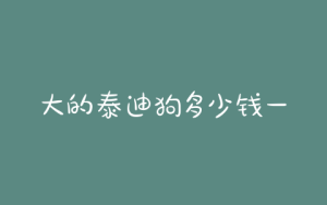 大的泰迪狗多少钱一只(狗市场泰迪多少钱一只)-警犬训练器材厂家 _警犬训练用品_工作犬训练用品-南京开久警犬装备