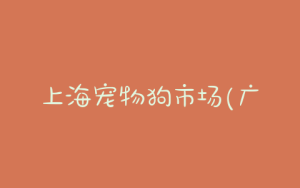 上海宠物狗市场(广州宠物狗市场在哪里)-警犬训练器材厂家 _警犬训练用品_工作犬训练用品-南京开久警犬装备