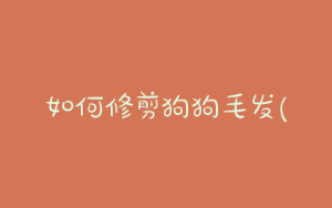 如何修剪狗狗毛发(怎样给狗狗修剪毛发 *** )-警犬训练器材厂家 _警犬训练用品_工作犬训练用品-南京开久警犬装备