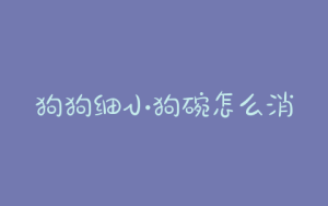 狗狗细小狗碗怎么消毒？狗狗细小怎么打-警犬训练器材厂家 _警犬训练用品_工作犬训练用品-南京开久警犬装备
