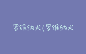 罗维纳犬(罗维纳犬是禁养犬吗)-警犬训练器材厂家 _警犬训练用品_工作犬训练用品-南京开久警犬装备
