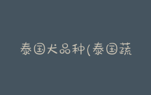 泰国犬品种(泰国蔬菜品种大全)-警犬训练器材厂家 _警犬训练用品_工作犬训练用品-南京开久警犬装备