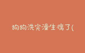 狗狗洗完澡生病了(狗狗洗完澡生病了不吃不喝)-警犬训练器材厂家 _警犬训练用品_工作犬训练用品-南京开久警犬装备