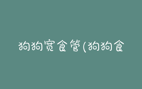 狗狗宽食管(狗狗食管反流) - 警犬训练器材厂家 _警犬训练用品_工作犬训练用品-南京开久警犬装备-警犬训练器材厂家 _警犬训练用品_工作犬训练用品-南京开久警犬装备