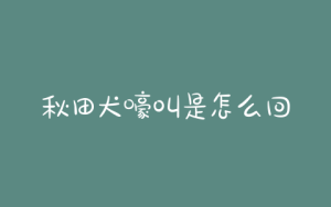 秋田犬嚎叫是怎么回事(秋田犬学狼叫怎么回事)-警犬训练器材厂家 _警犬训练用品_工作犬训练用品-南京开久警犬装备
