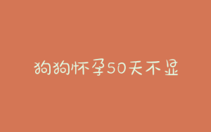 狗狗怀孕50天不显肚子(狗狗怀孕50天不显肚子桃子有浑浊液体)-警犬训练器材厂家 _警犬训练用品_工作犬训练用品-南京开久警犬装备