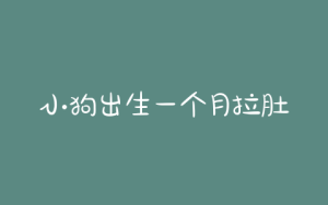 小狗出生一个月拉肚子怎么办？出生4天小狗拉肚子怎么办-警犬训练器材厂家 _警犬训练用品_工作犬训练用品-南京开久警犬装备