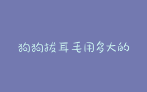狗狗拔耳毛用多大的止血钳(泰迪狗狗多大拔耳毛)-警犬训练器材厂家 _警犬训练用品_工作犬训练用品-南京开久警犬装备