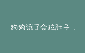 狗狗饿了会拉肚子，狗狗拉肚子可以饿一顿吗-警犬训练器材厂家 _警犬训练用品_工作犬训练用品-南京开久警犬装备
