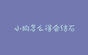 小狗怎么得会结石-警犬训练器材厂家 _警犬训练用品_工作犬训练用品-南京开久警犬装备
