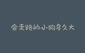 会走路的小狗多久大便，小狗大便能憋多久-警犬训练器材厂家 _警犬训练用品_工作犬训练用品-南京开久警犬装备
