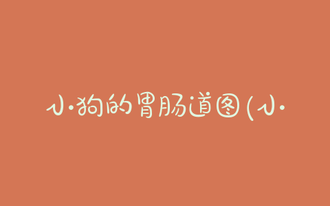 小狗的胃肠道图(小狗胃肠道出血怎么办) - 警犬训练器材厂家 _警犬训练用品_工作犬训练用品-南京开久警犬装备-警犬训练器材厂家 _警犬训练用品_工作犬训练用品-南京开久警犬装备