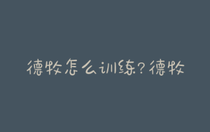 德牧怎么训练?德牧训练教程狗狗技巧训练-警犬训练器材厂家 _警犬训练用品_工作犬训练用品-南京开久警犬装备