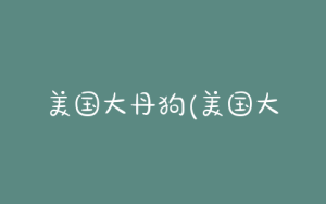 美国大丹狗(美国大丹狗 *** )-警犬训练器材厂家 _警犬训练用品_工作犬训练用品-南京开久警犬装备