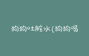 狗狗吐脏水(狗狗喝了外面的脏水)-警犬训练器材厂家 _警犬训练用品_工作犬训练用品-南京开久警犬装备