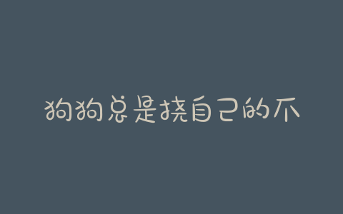 狗狗总是挠自己的爪子 狗狗总是啃自己的爪子 - 警犬训练器材厂家 _警犬训练用品_工作犬训练用品-南京开久警犬装备-警犬训练器材厂家 _警犬训练用品_工作犬训练用品-南京开久警犬装备