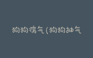 狗狗病气(狗狗抽气是什么原因)-警犬训练器材厂家 _警犬训练用品_工作犬训练用品-南京开久警犬装备