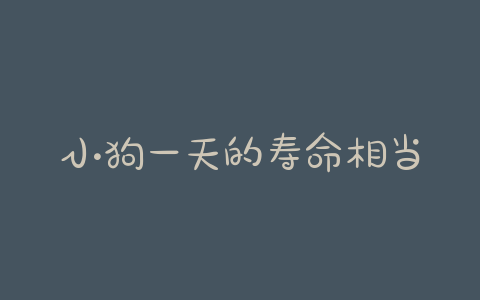 小狗一天的寿命相当于(小狗的一天相当于人的几天) - 警犬训练器材厂家 _警犬训练用品_工作犬训练用品-南京开久警犬装备-警犬训练器材厂家 _警犬训练用品_工作犬训练用品-南京开久警犬装备
