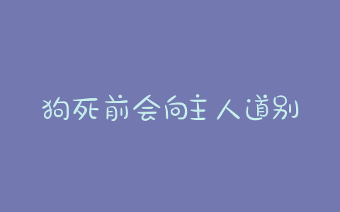 狗死前会向主人道别(狗死前会向主人道别托梦吗) - 警犬训练器材厂家 _警犬训练用品_工作犬训练用品-南京开久警犬装备-警犬训练器材厂家 _警犬训练用品_工作犬训练用品-南京开久警犬装备